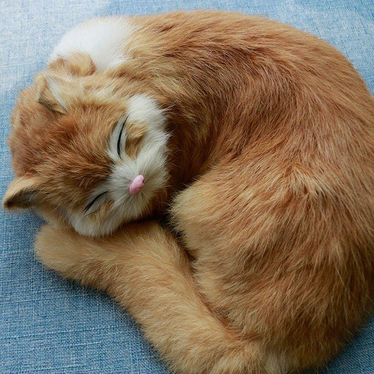 Realistic Comfort Pet Toy