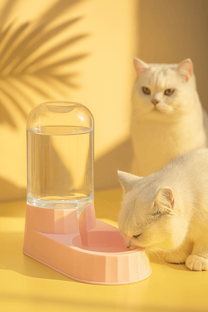 Automatic Pet Water Dispenser for Cats & Small Dogs